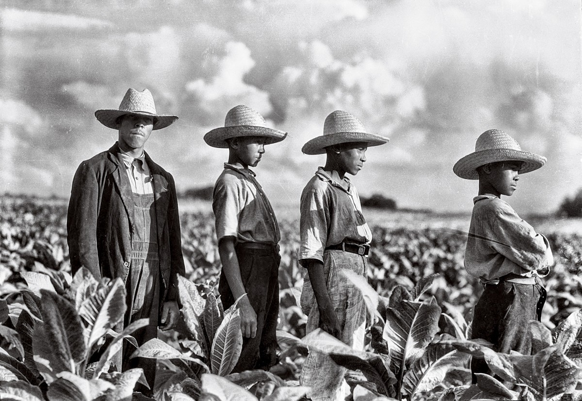 A tobacco farmer and his three sons, North Carolina, 1930s.
