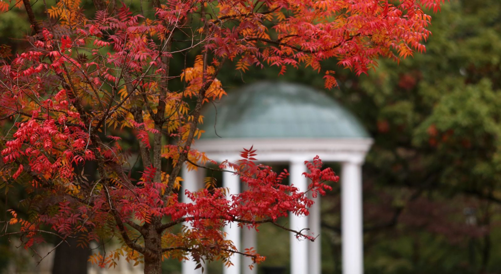 The Old Well in the fall. (UNC photo)